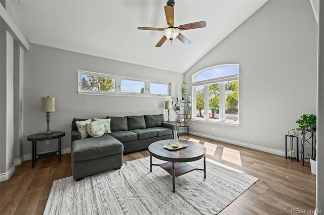 11682 Montgomery Cir, Longmont, CO 80504 - photo 8