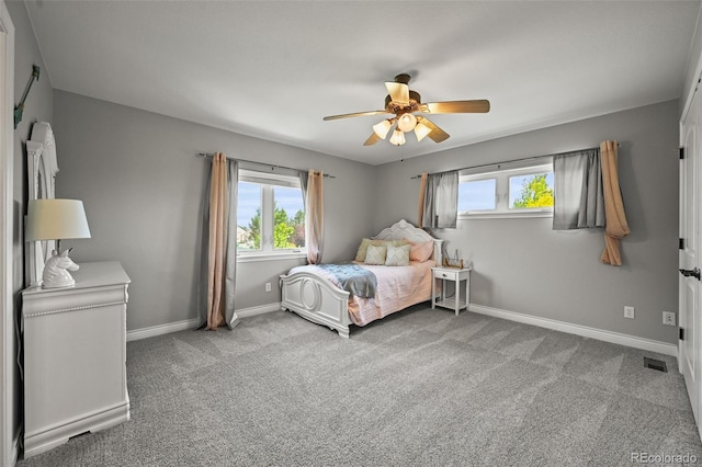 11682 Montgomery Cir, Longmont, CO 80504 - photo 24