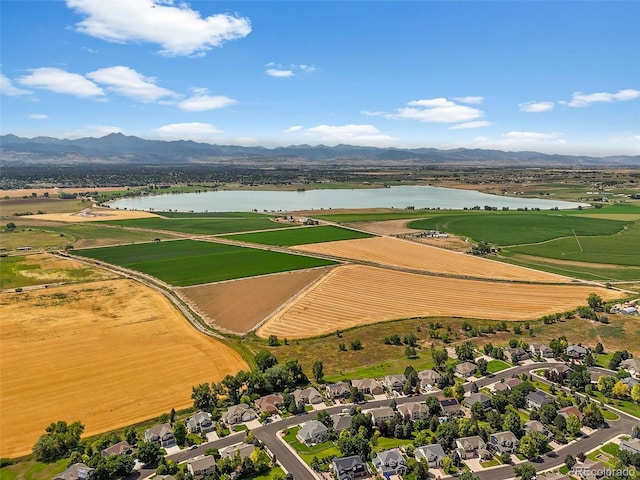 11682 Montgomery Cir, Longmont, CO 80504 - photo 37