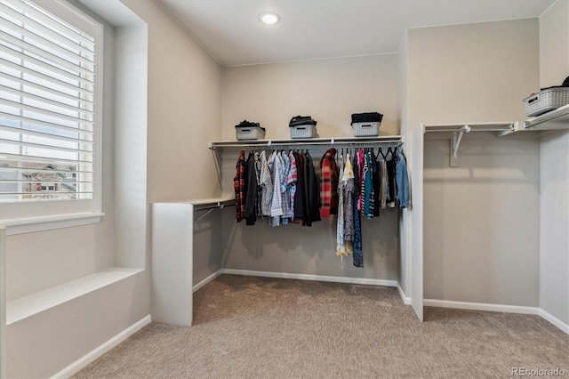 spacious closet with carpet flooring