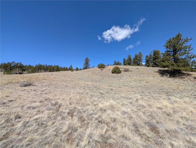 2053 Badger Creek Rd, Hartsel, CO 80449