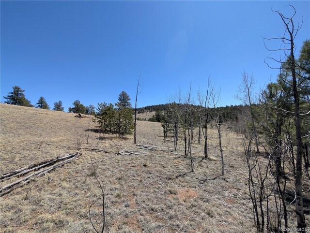2053 Badger Creek Rd, Hartsel, CO 80449