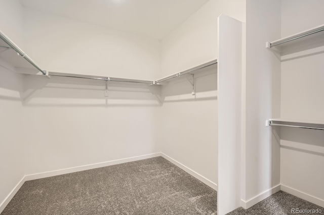 3073 Ironton Dr, Loveland, CO 80538 - photo 9