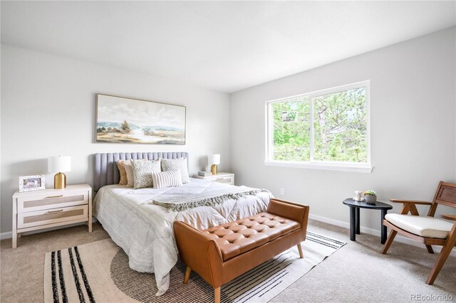 4257 S Andes Way, Aurora, CO 80013 - photo 17