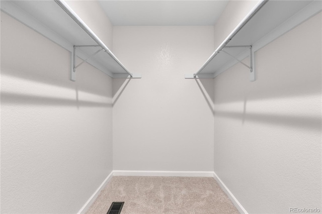 4257 S Andes Way, Aurora, CO 80013 - walk in closet featuring carpet flooring