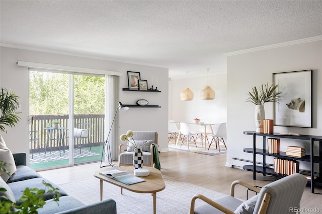 living room featuring a textured ceiling, light hardwood / wood-style floors, and crown molding