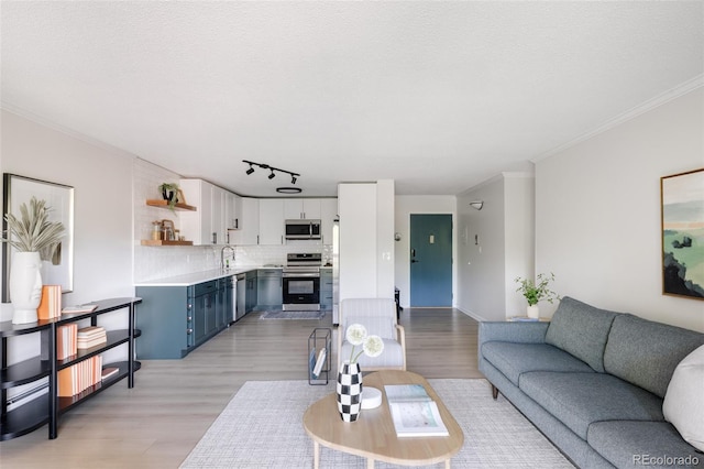 living room featuring sink, crown molding, light hardwood / wood-style floors, a textured ceiling, and track lighting