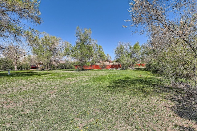 view of yard