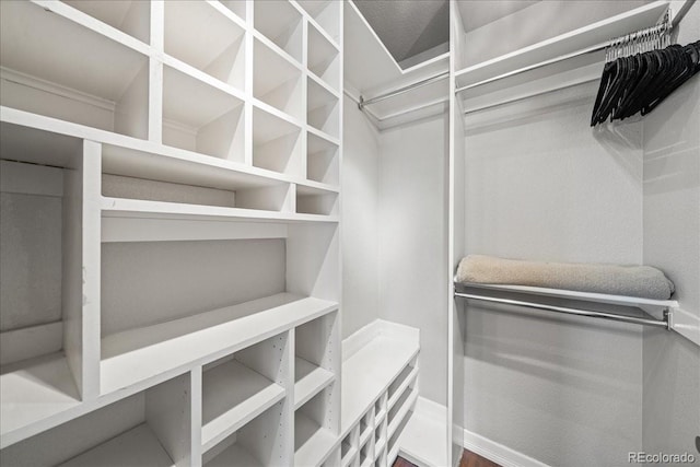 115 Quandary Ave, Berthoud, CO 80513 - view of walk in closet