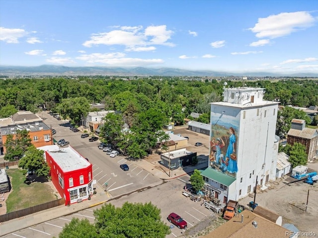 115 Quandary Ave, Berthoud, CO 80513 - bird's eye view of a forest