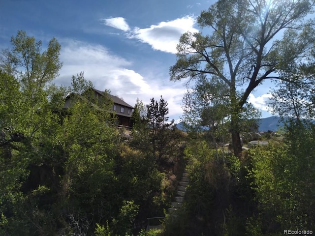 112 River Run Dr, Buena Vista, CO 81211 - photo 19