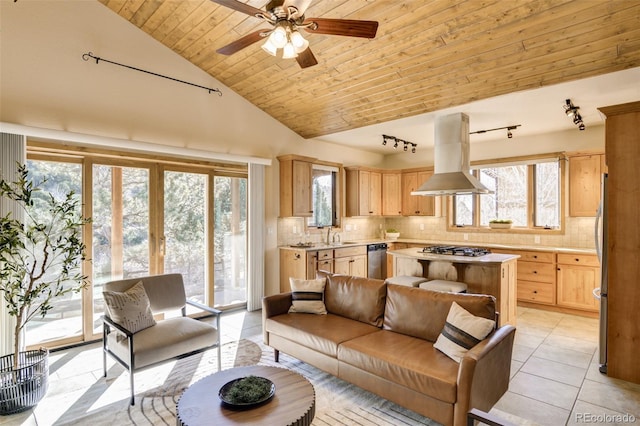 112 River Run Dr, Buena Vista, CO 81211 - photo 27