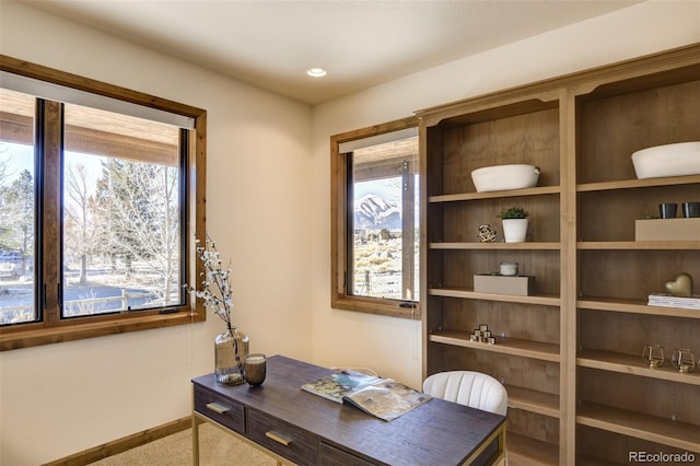 112 River Run Dr, Buena Vista, CO 81211 - photo 32