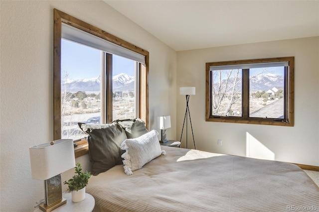 112 River Run Dr, Buena Vista, CO 81211 - photo 41