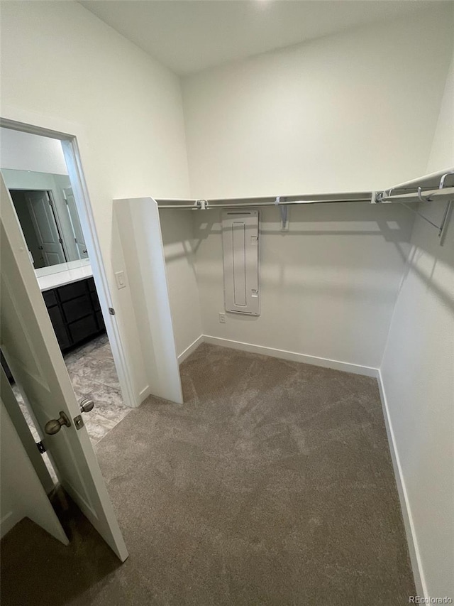 spacious closet with carpet floors