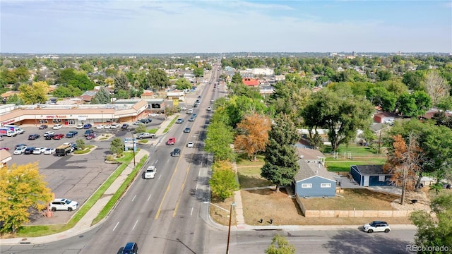 bird's eye view