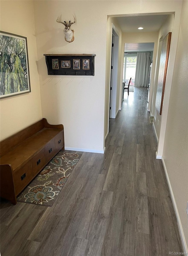 3974 Castle Vista Ln, Castle Rock, CO 80104 - hall with dark wood-style floors and baseboards
