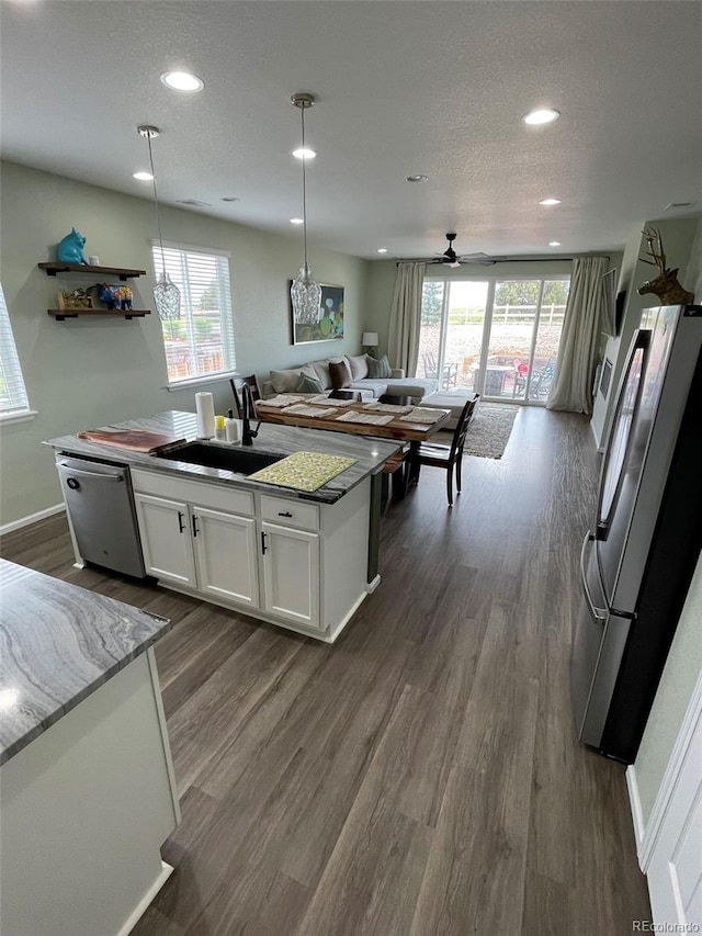 3974 Castle Vista Ln, Castle Rock, CO 80104 - kitchen featuring appliances with stainless steel finishes, open floor plan, white cabinets, plenty of natural light, and recessed lighting