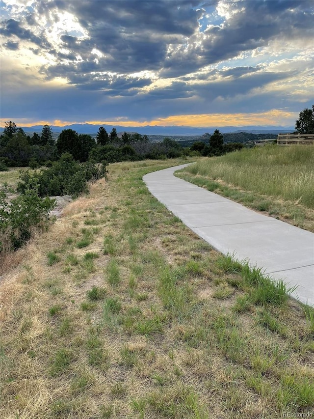 3974 Castle Vista Ln, Castle Rock, CO 80104 - photo 34