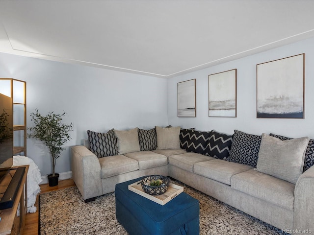 living area featuring wood finished floors