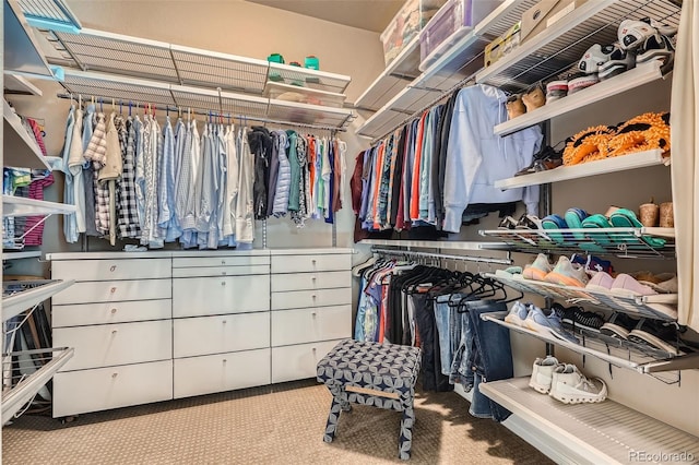 12114 Alcott St, Westminster, CO 80234 - spacious closet featuring carpet floors