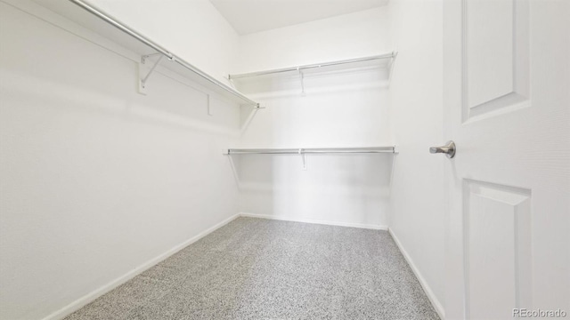 spacious closet featuring carpet