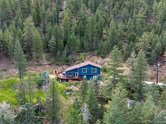 812 Soda Creek Rd, Idaho Springs, CO 80452 - photo 36
