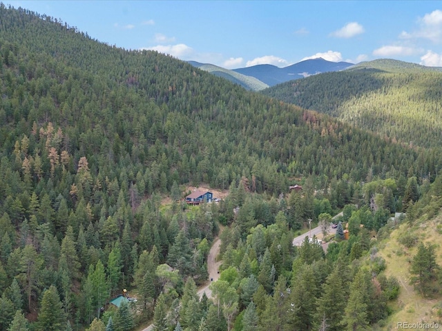 812 Soda Creek Rd, Idaho Springs, CO 80452 - photo 37