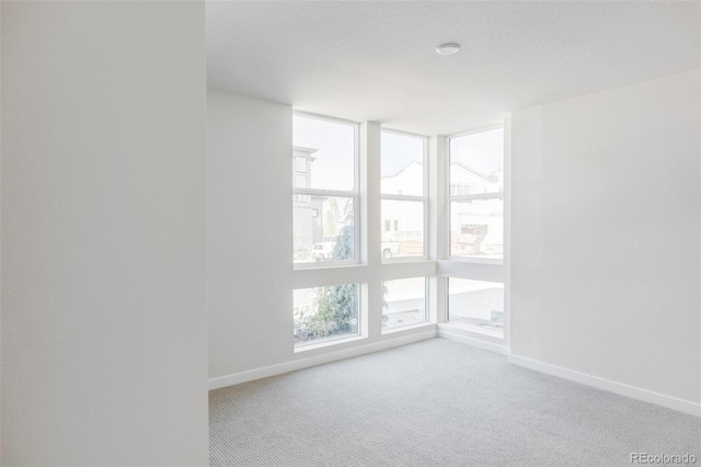 spare room featuring carpet flooring