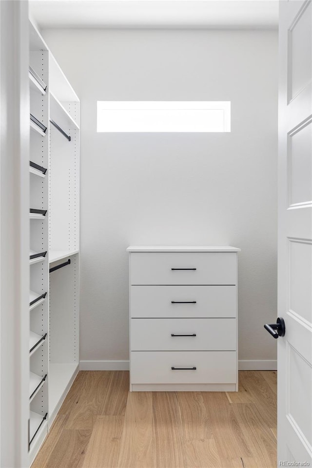 spacious closet featuring light wood-type flooring