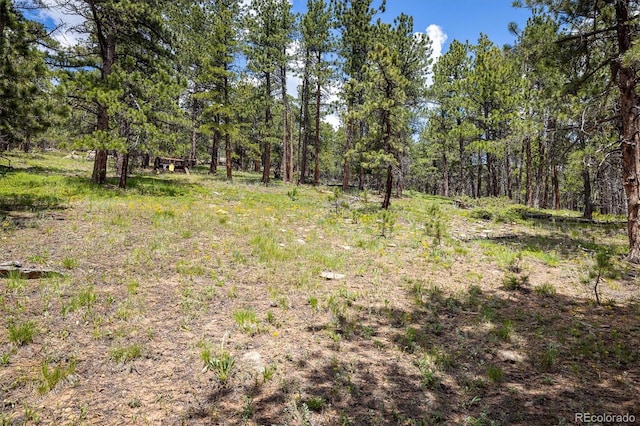 153 Divide View Dr, Golden, CO 80403 - view of woods