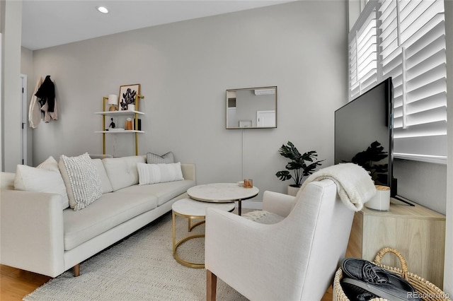 living room with wood-type flooring