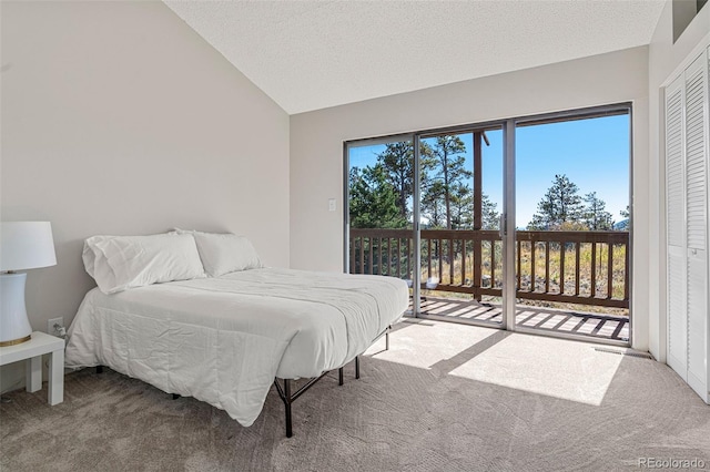 319 Camino Bosque, Boulder, CO 80302 - bedroom featuring access to exterior, carpet floors, lofted ceiling, and a textured ceiling