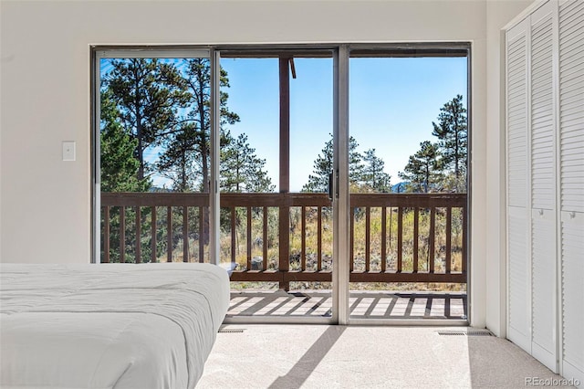 319 Camino Bosque, Boulder, CO 80302 - bedroom with carpet floors and access to exterior