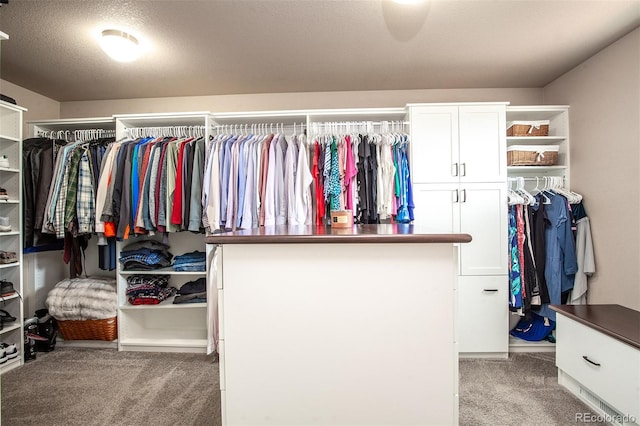 spacious closet with light colored carpet