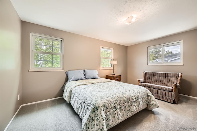 3150 Lane Ct, Boulder, CO 80305 - bedroom featuring carpet, multiple windows, and baseboards