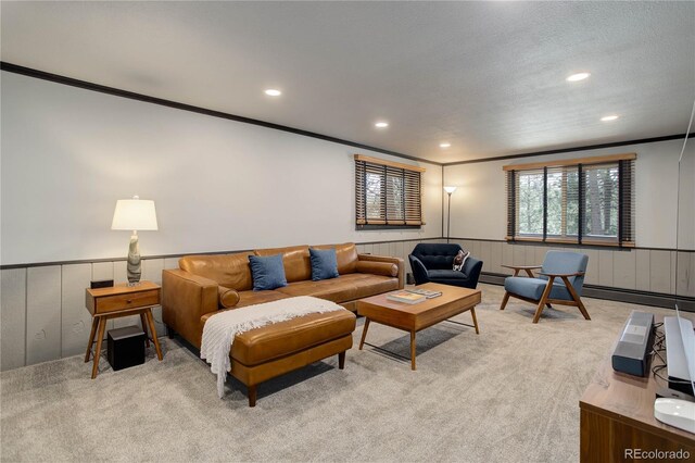 30221 Marge Ln, Evergreen, CO 80439 - living area featuring light carpet, ornamental molding, wainscoting, recessed lighting, and a baseboard radiator