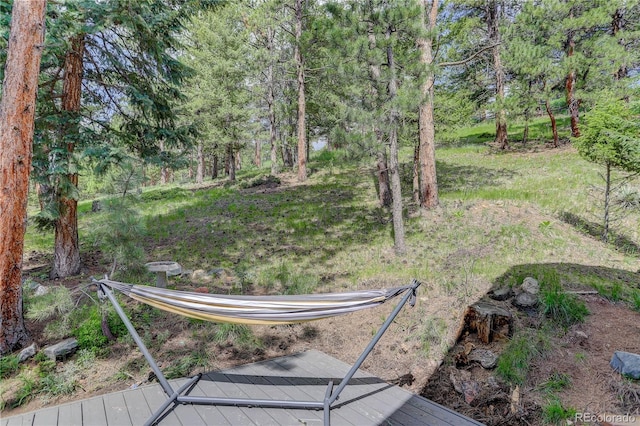 30221 Marge Ln, Evergreen, CO 80439 - view of yard
