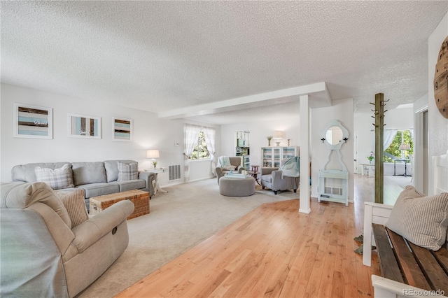 11760 Eudora Ct, Thornton, CO 80233 - living area with a textured ceiling and light wood-style floors
