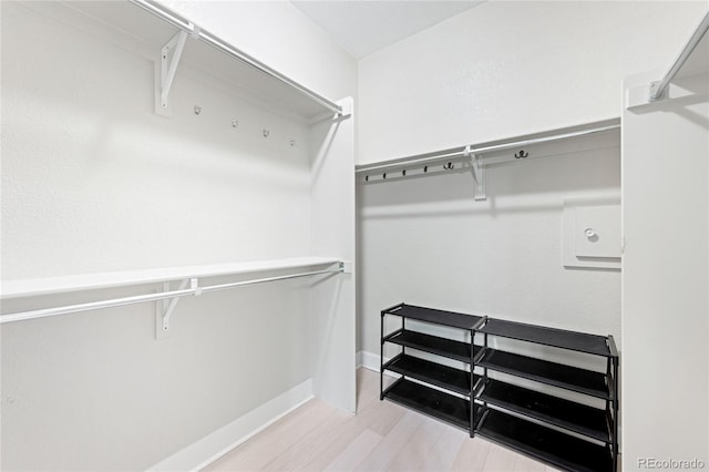 walk in closet featuring wood finished floors