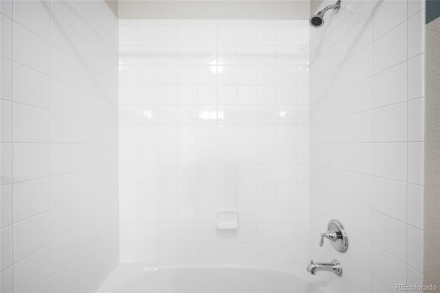 room details with bathtub / shower combination