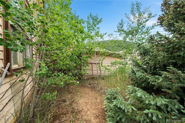 300 Spring St, Central City, CO 80427 - view of yard