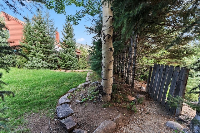 249 E Coyote Ct, Silverthorne, CO 80498 - view of yard