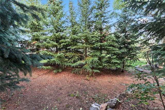 249 E Coyote Ct, Silverthorne, CO 80498 - view of undeveloped land