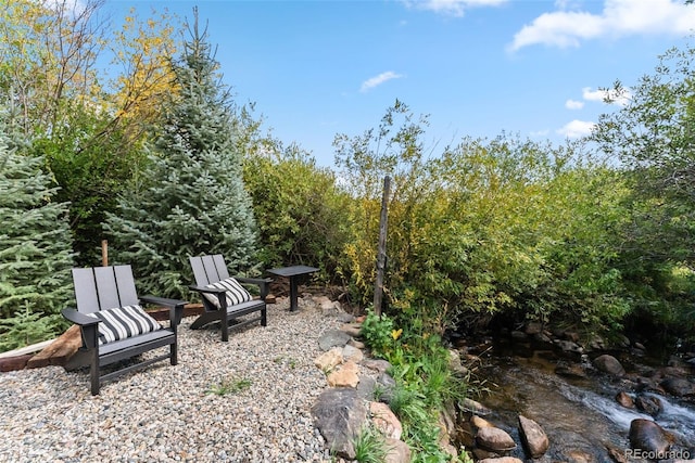 249 E Coyote Ct, Silverthorne, CO 80498 - view of yard