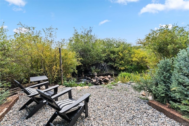 249 E Coyote Ct, Silverthorne, CO 80498 - view of community