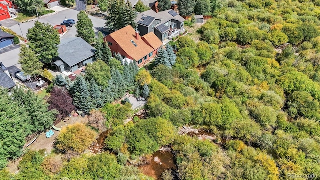 249 E Coyote Ct, Silverthorne, CO 80498 - aerial perspective of suburban area