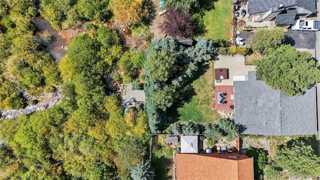 249 E Coyote Ct, Silverthorne, CO 80498 - drone / aerial view