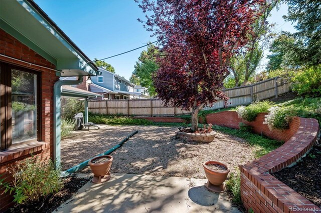 view of yard with a patio