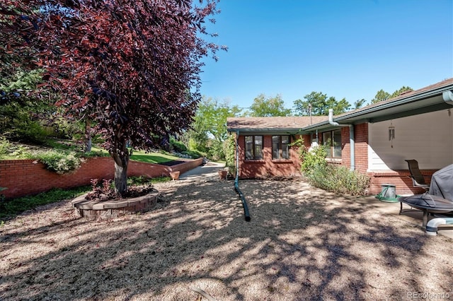 view of yard featuring a patio area